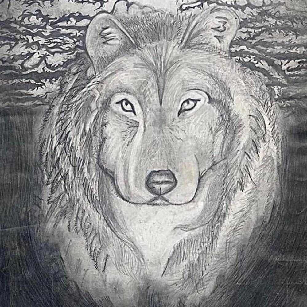 Night Wolf Graphite Artwork Realism